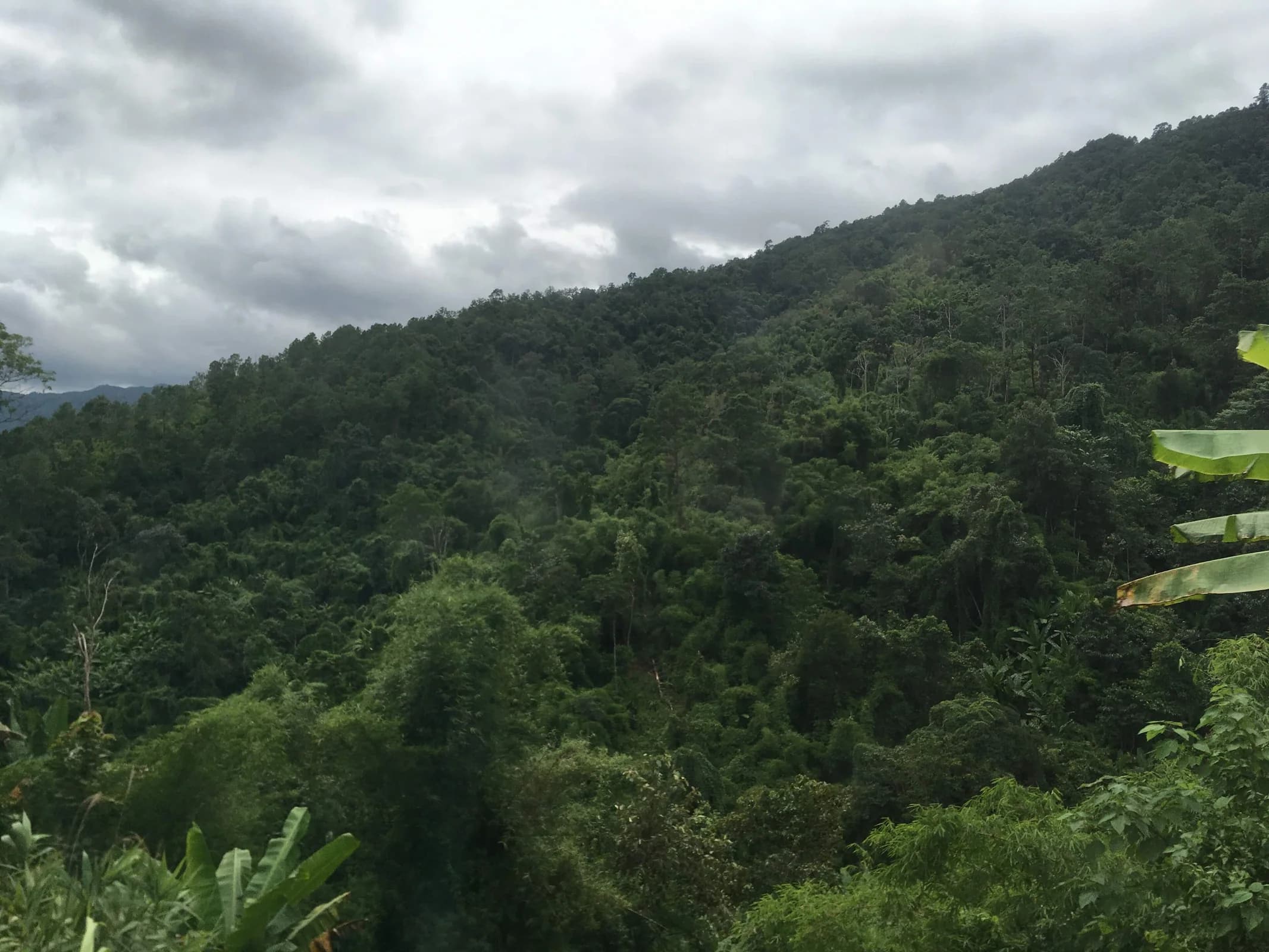 チェンマイ・メーテーンの森と山