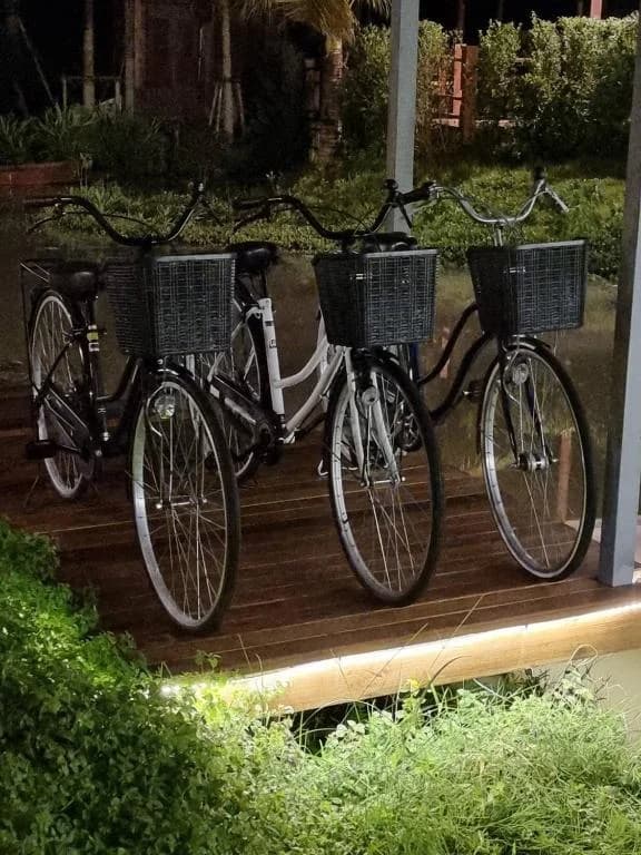 Doona Resort bicycles parked together for a countryside ride